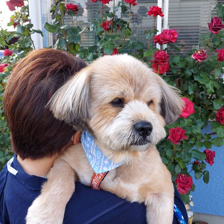 7cf74fd2 ed9c 4c32 90c0 5b49410758ae 1619863324959