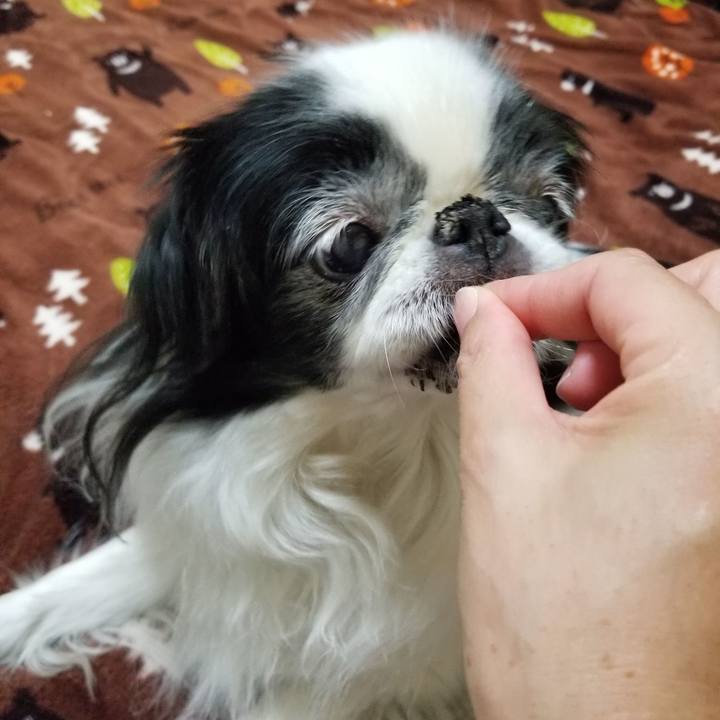 7cf76e0d 83ec 412c a13c b3a68699df36 1544526898509