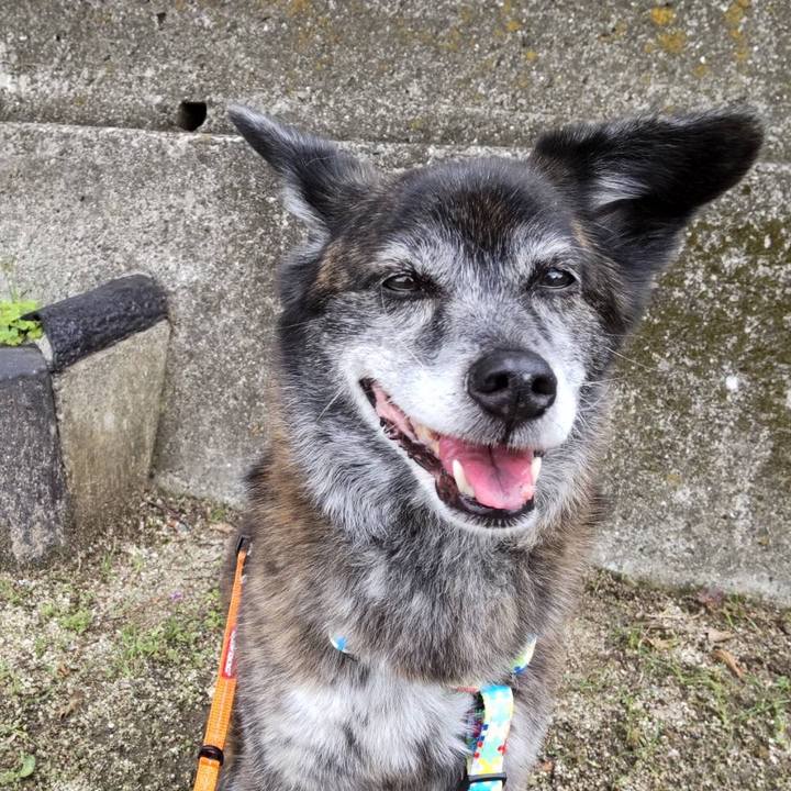 7cf79d5b dcf2 4c35 9ce6 aada25b77ee5 1685585456688