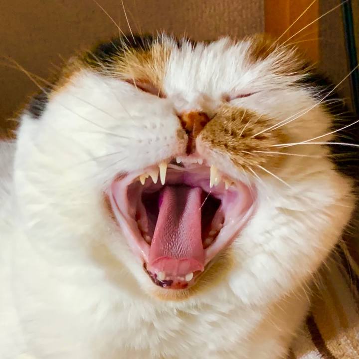 7cf7a429 8aca 480a 865c 6786cc263c37 1563773649354