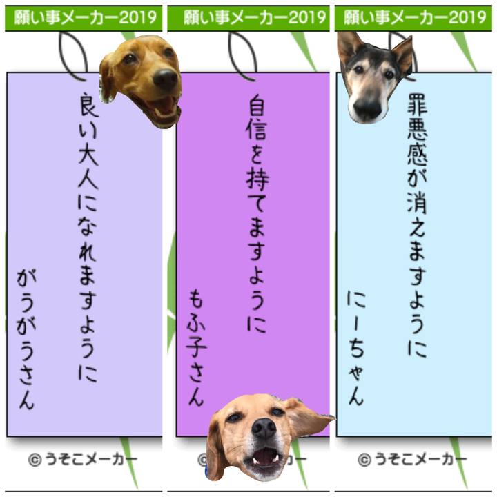 7cf7b15c 1a2d 43d4 a195 571070841804 1562496614439