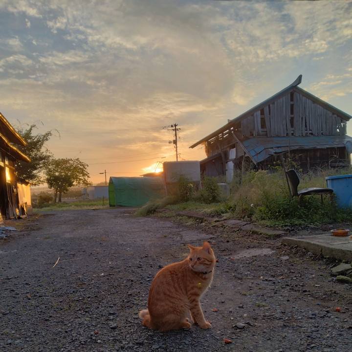 7cf7b63d 9246 489a a521 c9da2b07cb49 1664400687157