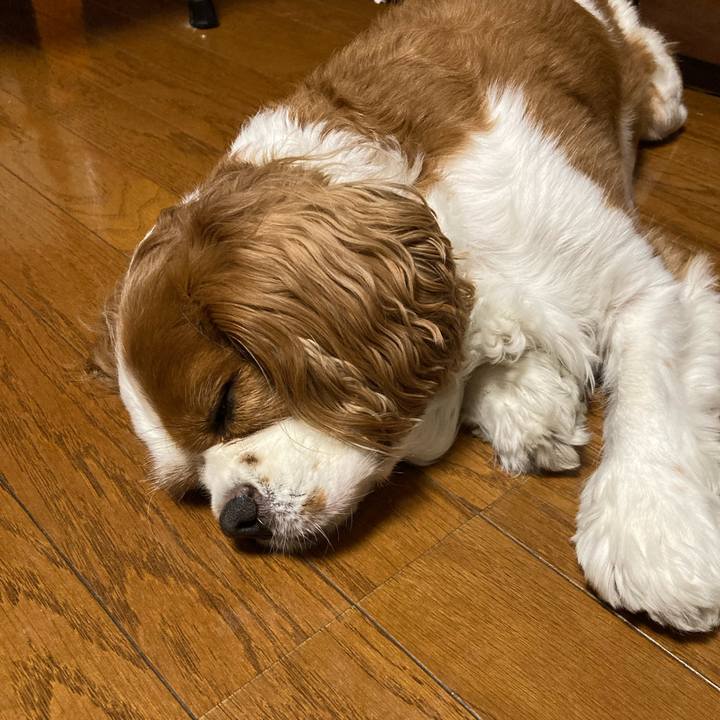 7cf7c187 636d 4efb b91e 0d4721179cec 1759236358804