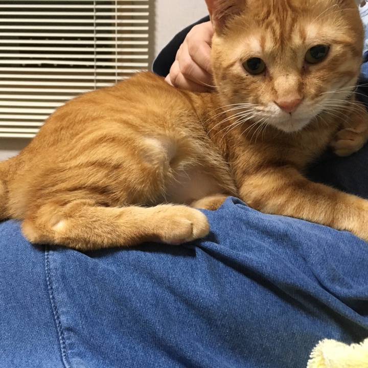 7cf7cca0 9b73 4065 9253 c681295c9c03 1537530874661