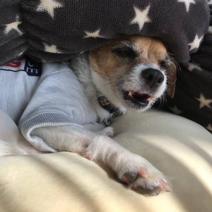 7cf7dcfc 2443 4e4f 8d3b f93d6378649e 1517011209354