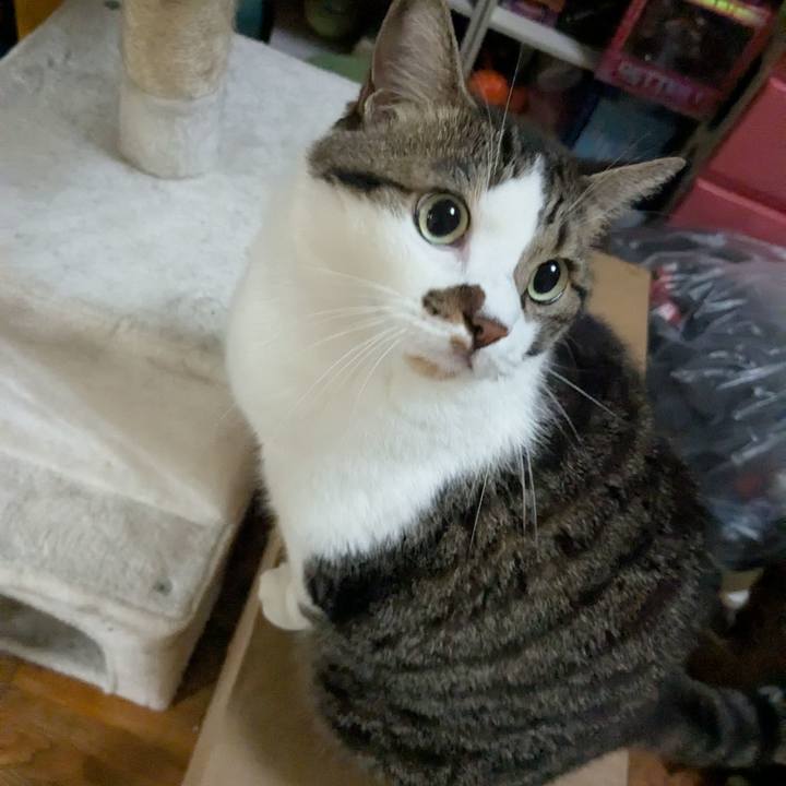 7cf7ee36 9bd6 45f4 a960 4238fe0486e1 1753879002807