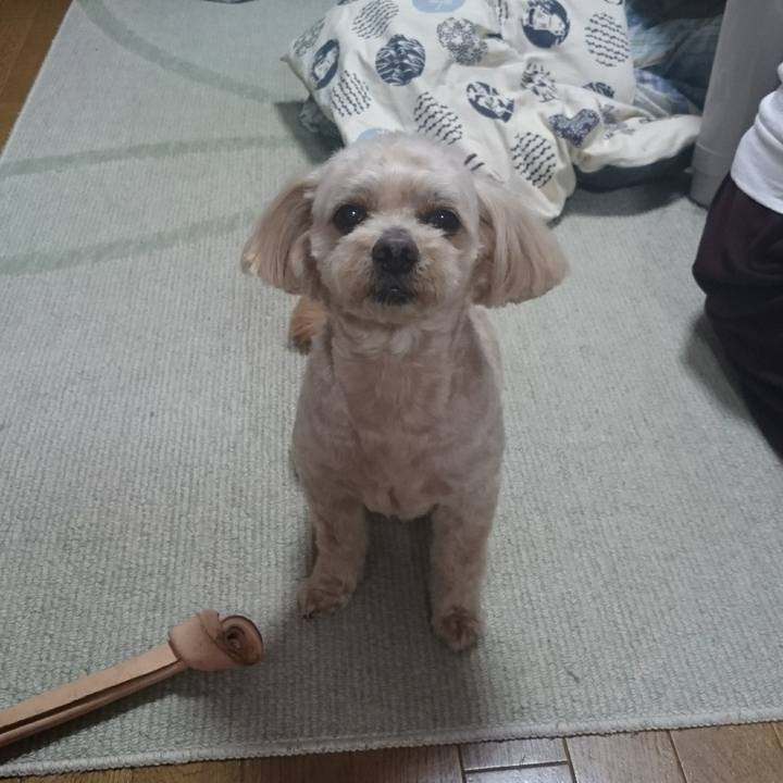 7cf81659 c72b 4d18 9de3 3f7f428b7666 1589059554235