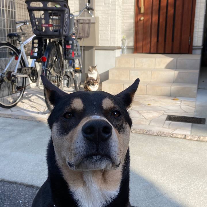 7cf83a88 9e8d 4629 b70e 654b12a8ad9b 1618818227946