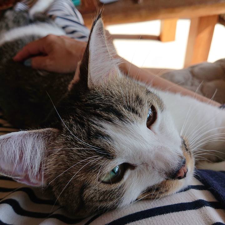 7cf860af 528e 46fc ad15 72168318cfd6 1604116712260