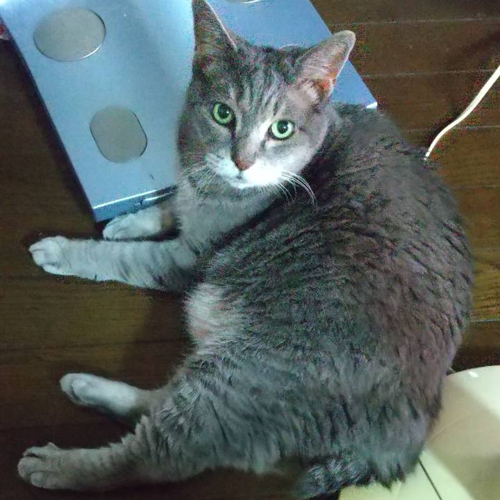 7cf87615 4207 4920 b13a 26660e658917 1626741488128