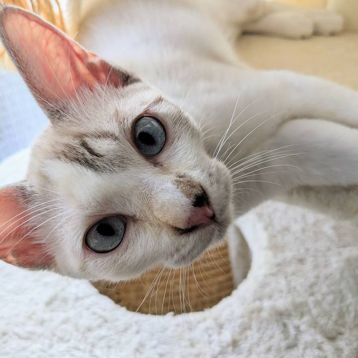 7cf88bfb 5a01 419f ab6d 1b843eb7e83e 1694651498903