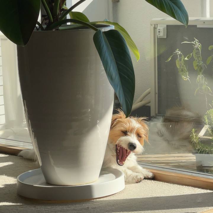 7cf8a053 15a6 4c12 ae16 f7665fa99eb4 1773533648044