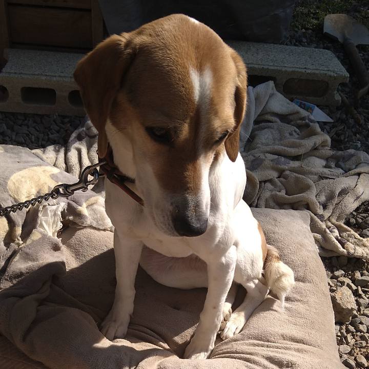 7cf8c7f7 6ab5 43f6 b9c4 0cdbd3b2c4c4 1650376429231