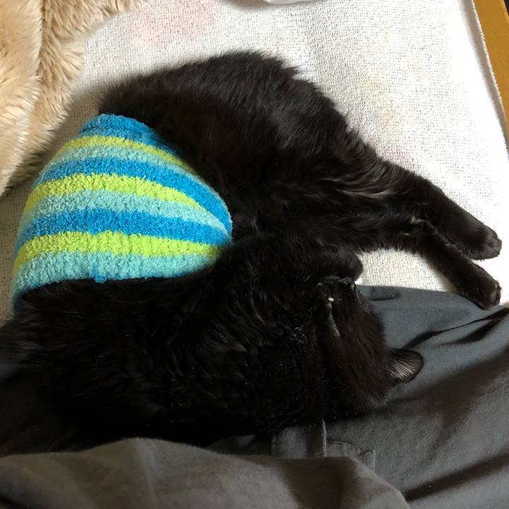 7cf92e61 d841 404c 9919 18e78cdd6406 1608559992660