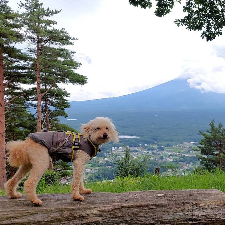 7cf93de7 f63f 4460 991f a7f3d80eeb64 1688827931108