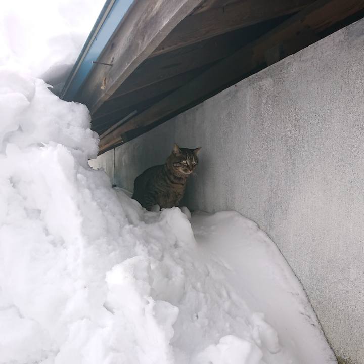 7cf94d89 cfd9 4f3f 9ff3 bb5bdc90b53e 1642995701382