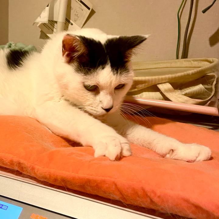 7cf99a09 d8c5 4093 a2b4 d5b1e88f986d 1730298885650