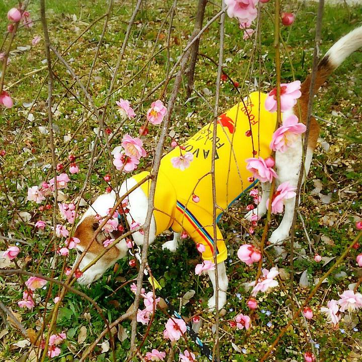 7cf9b1de 79ca 41ef baa0 ad20b3cc262b 1520062091524