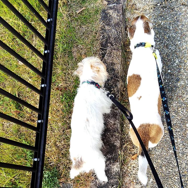 7cfa7d79 ab79 4363 9b6e 23dea1f4d77e 1545541475097