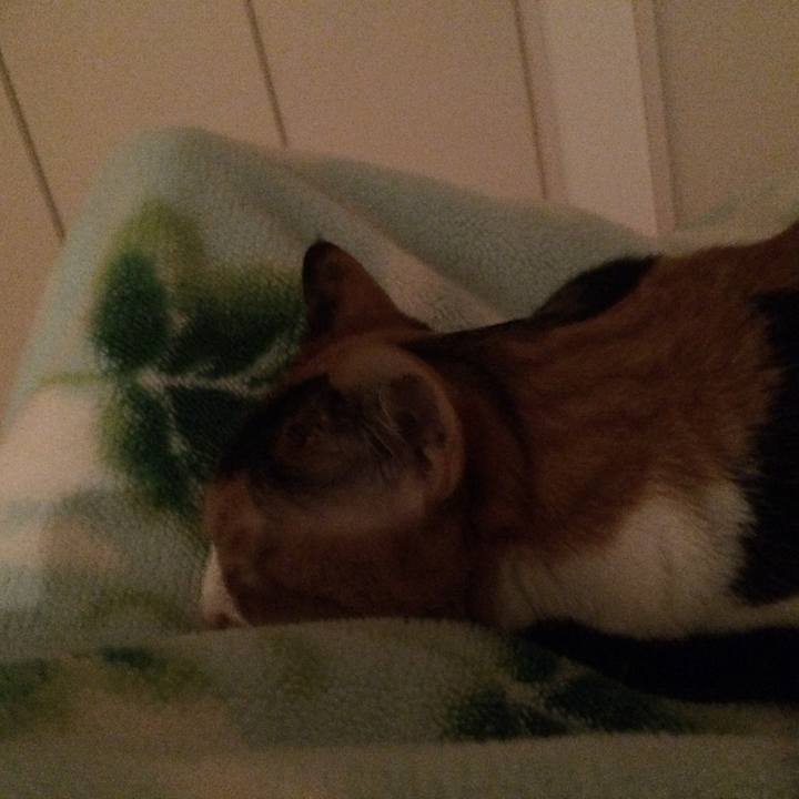 7cfa8013 2251 4cbe 95c9 e8c2db9adfcc 1526820253433