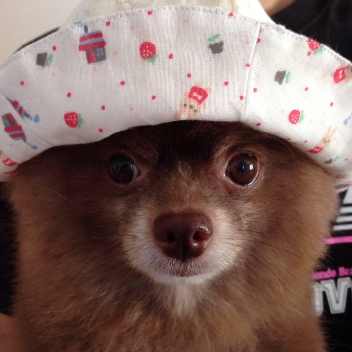 7cfaae8f 64f2 4853 a4d5 19fe1f951b4f 1530771486164