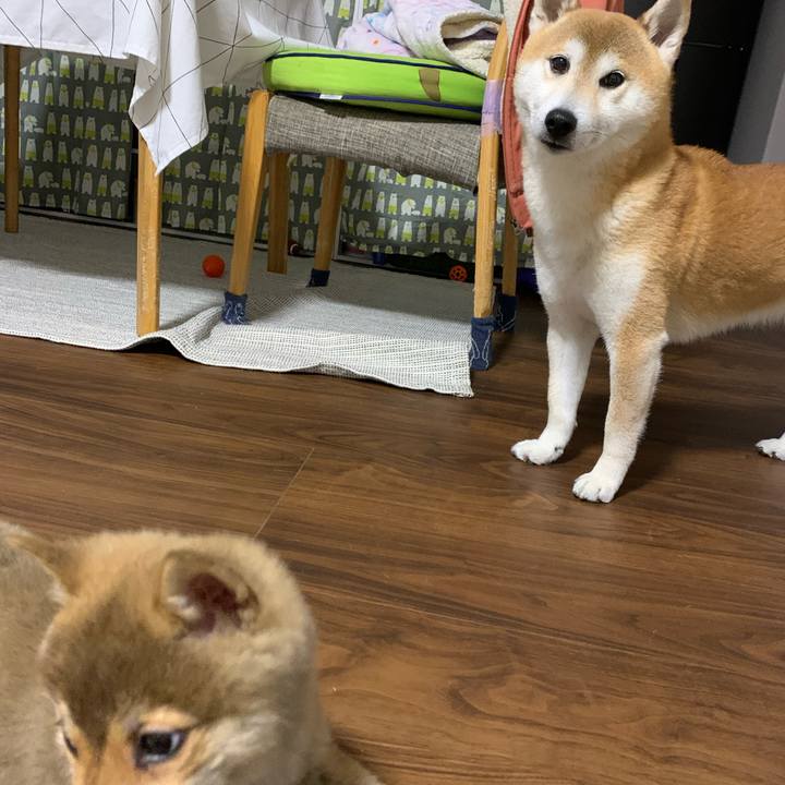 7cfab5a3 5524 40d6 87f7 e9fe47898502 1617542411080