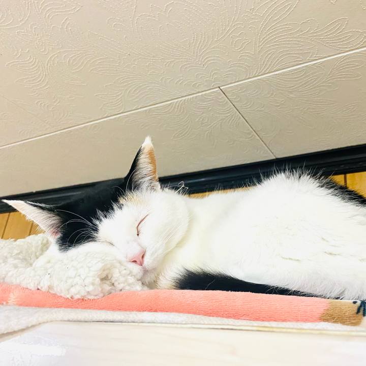 7cfacd58 d9b8 4091 8246 62a2aa568093 1741519291800