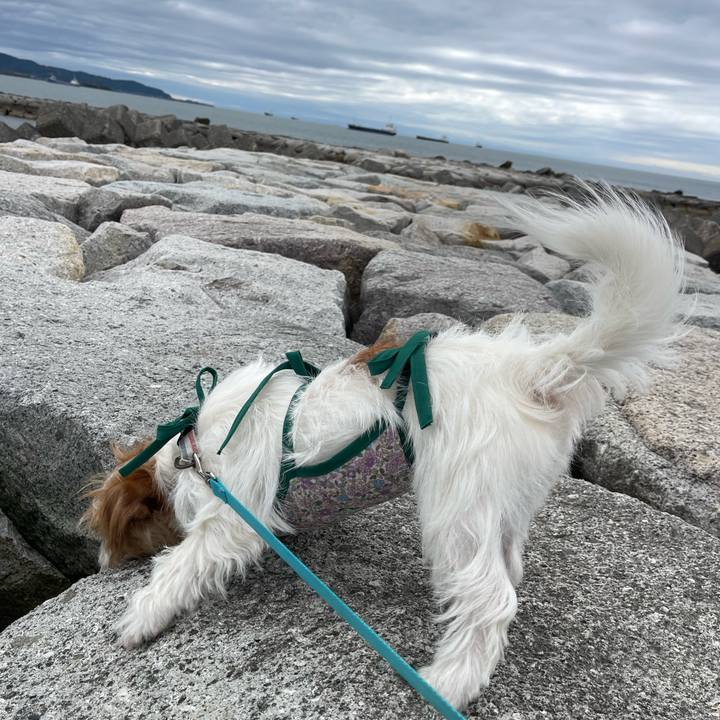 7cfaf896 cd19 4ca3 b61e 6d9f38b3f783 1775133992109