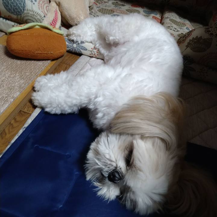 7cfb40d3 9e11 4d2d 8fae 8908b4adab98 1659318749440