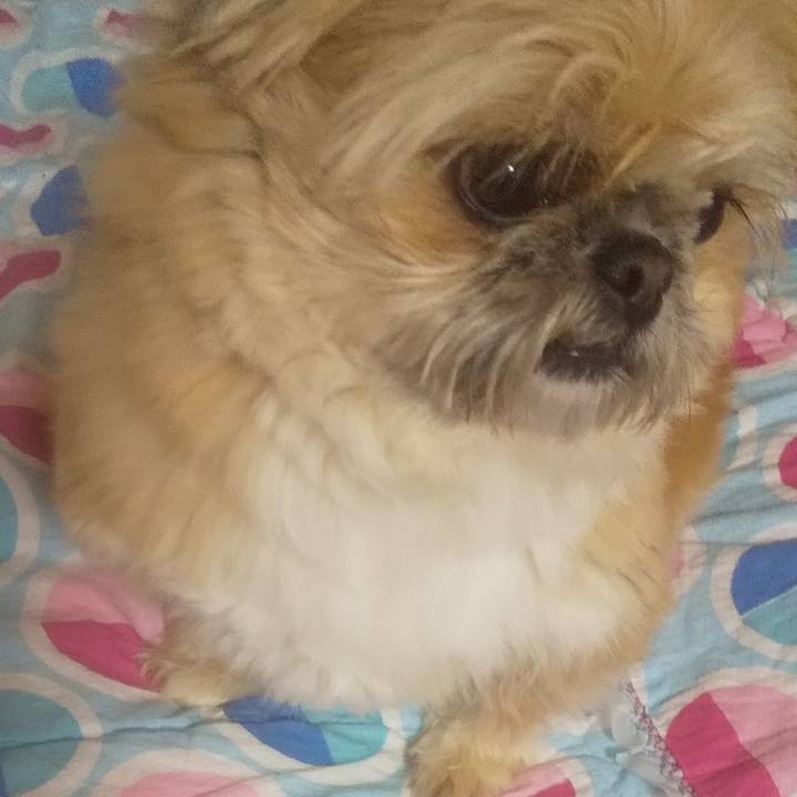 7cfb49a6 2529 4e8a aa18 a0b4adc4aecf 1740669950987