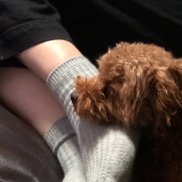 7cfb4a9c 0f4d 4014 b54e 1a16f0c3b47a 1541542753392