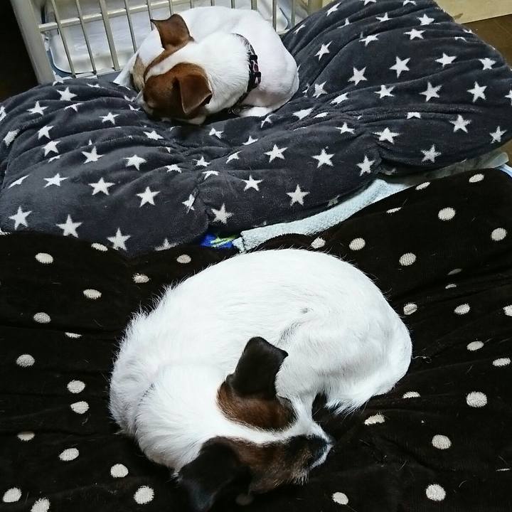 7cfb6b34 b319 43d7 9a34 9a156e91ddde 1540978324315