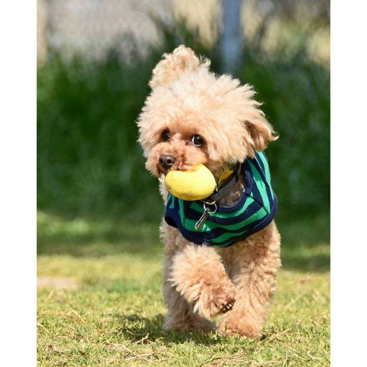 7cfbba98 48e7 4745 946c 10429923a243 1585031327996