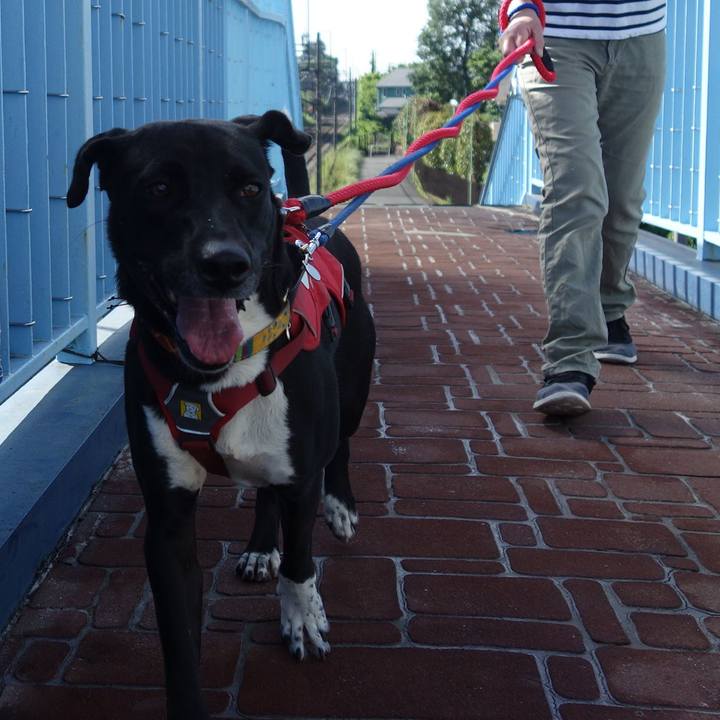 7cfbd127 9204 4c40 a12a ca89bce9a816 1589679402006