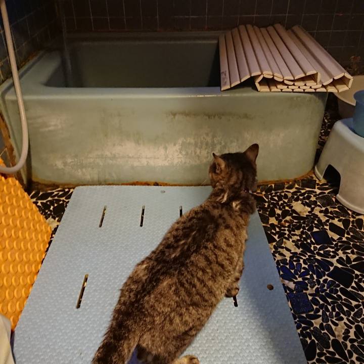 7cfc332b 8664 44e1 ab1a 5333dd68a824 1591093455275