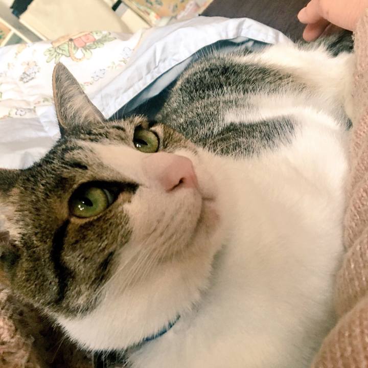 7cfc3517 392f 4adf 90a5 f7ac2bfe2306 1517383388102