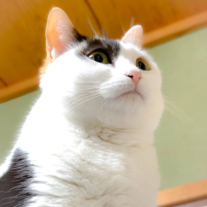 7cfc4ca5 5014 44ec bdd9 02f66b5dba01 1556588407925