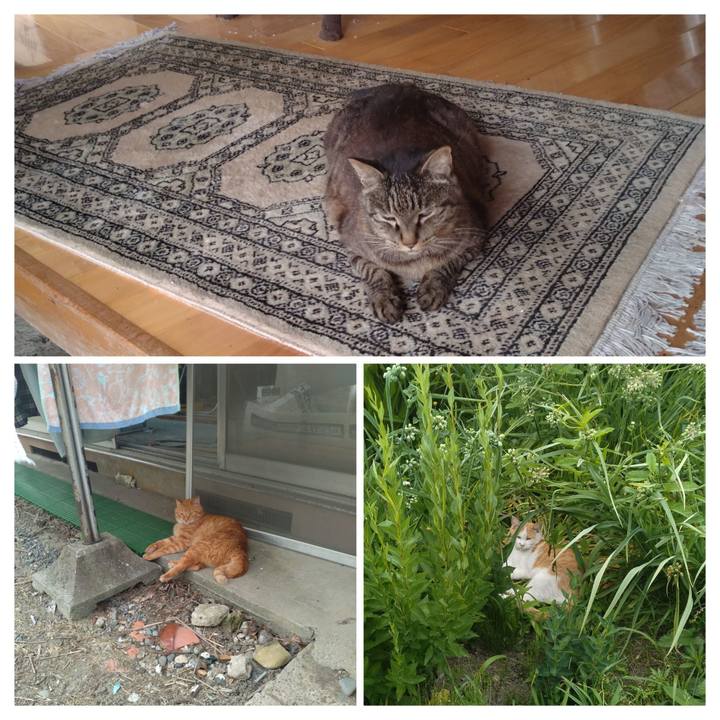 7cfc519a b1f8 439b ae0f e15eaba886c6 1750581818853