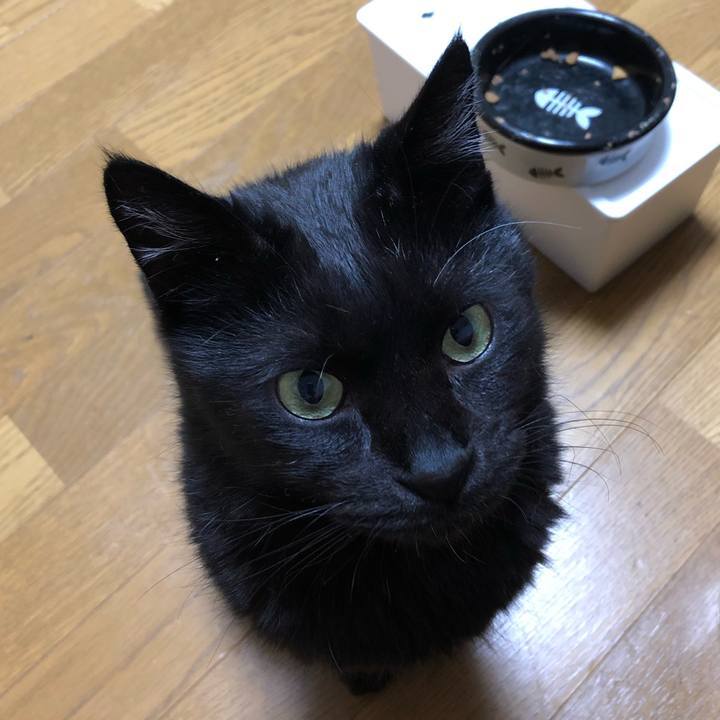 7cfc55a8 f934 431d a2c0 3e4c1b8e49d9 1593429744035