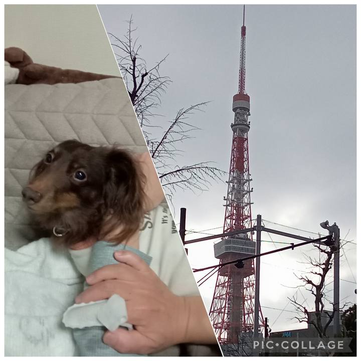 7cfc6617 c728 4fcd 9c3e 8745fed30242 1772398711235