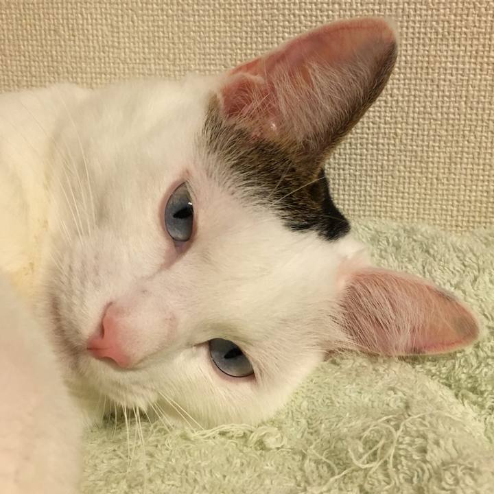 7cfca54d c45a 4630 966e c58b2f02bcec 1509677544701