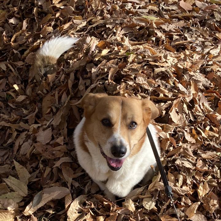 7cfcc4c3 c2d1 4813 8beb df08fc946060 1764642061925