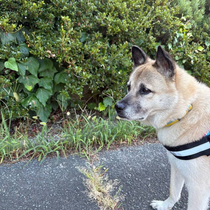 7cfcd7f4 76eb 4cb6 97ef e489618653e1 1753877698825