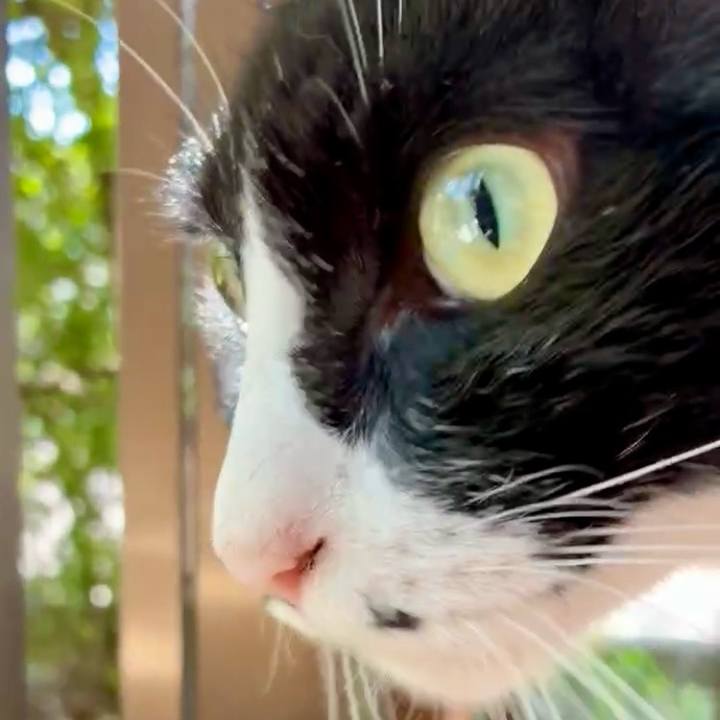 7cfd0b66 8fbf 4428 ae3f df0dd5b6cc6a 1760149579956