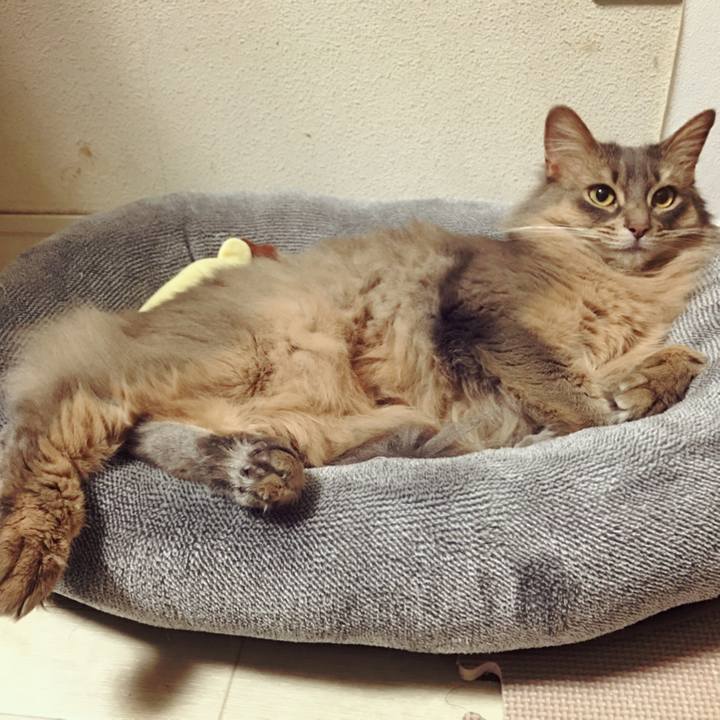 7cfd0dcc 27f9 4fe4 a99e 93cbea703a41 1518437415352