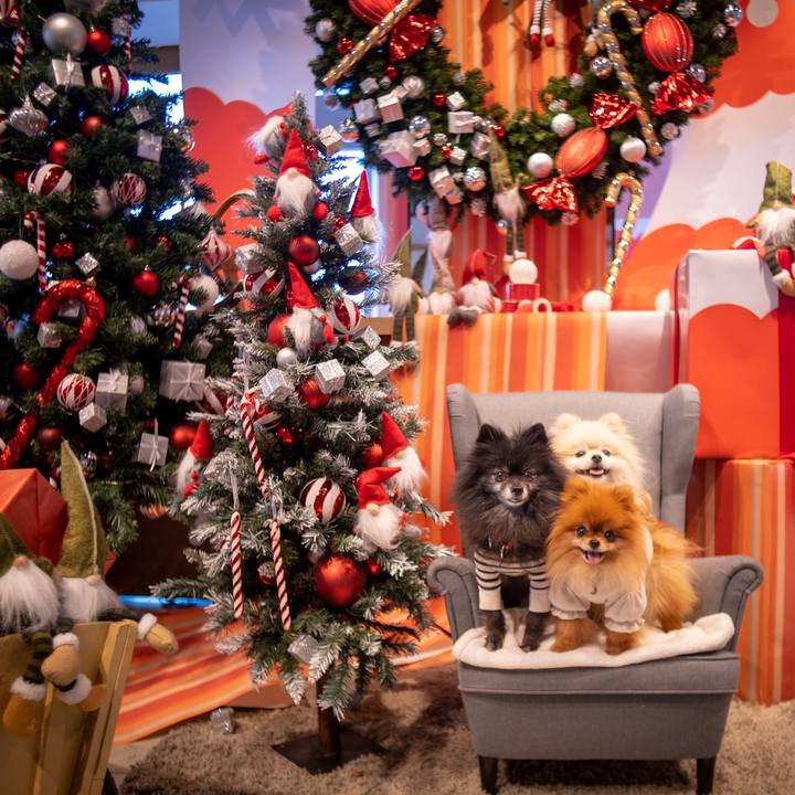 7cfd38be 7134 4bef a368 c228d2088153 1640773774172