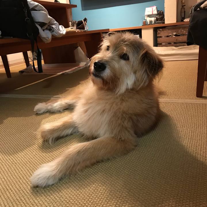 7cfd3ffd 85e1 4863 a937 88c3706033b3 1537280434247