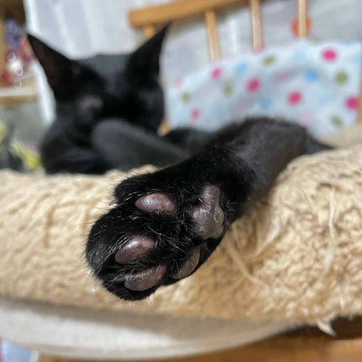 7cfd44c0 8f8c 42db b173 b3452c821f1e 1760788311877