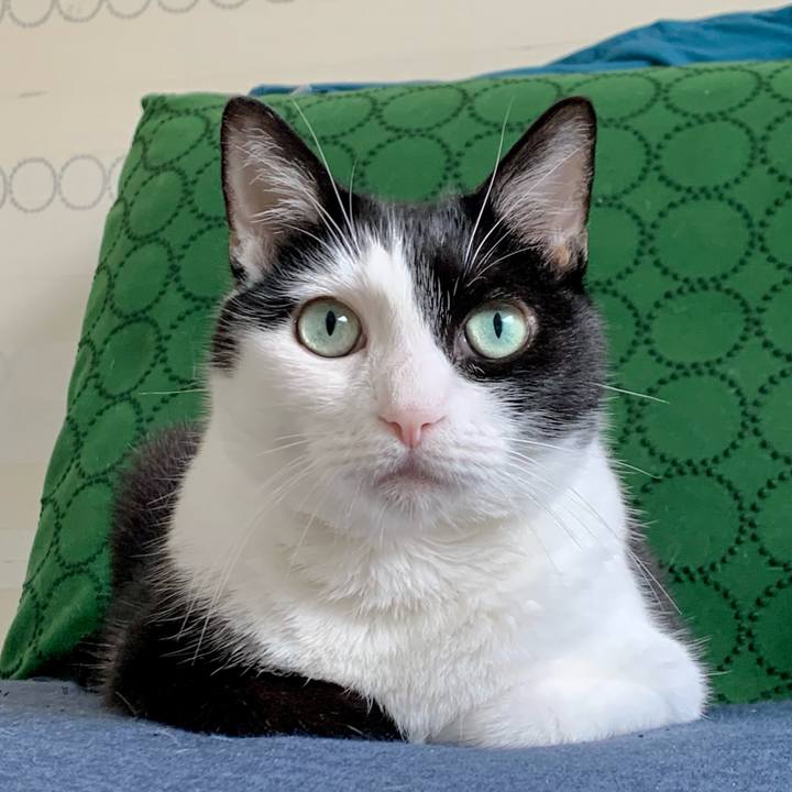 7cfd4846 c2c8 467c ac67 8ccdafa12c32 1670194459716