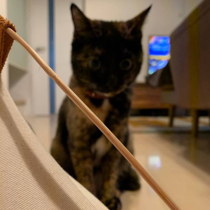 7cfd4bec 9163 486a 9783 832cb1d740f9 1578436809399